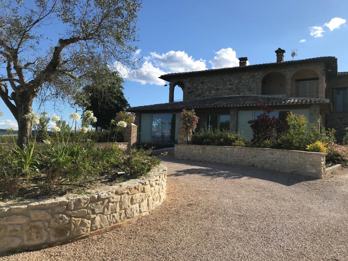Agriturismo Fattoria Di Monticello San Venanzo Exteriör bild