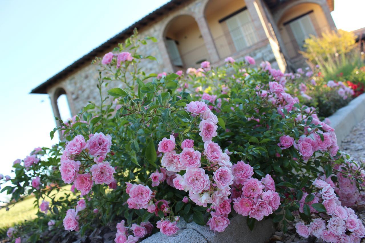 Agriturismo Fattoria Di Monticello San Venanzo Exteriör bild